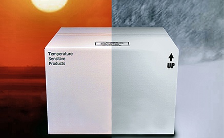 Timesaver sun and snow.jpg